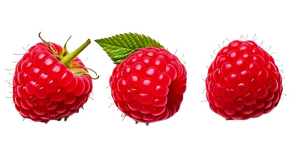  Set of Three Organic Raspberry Fruit Concepts, isolated on transparent background PNG