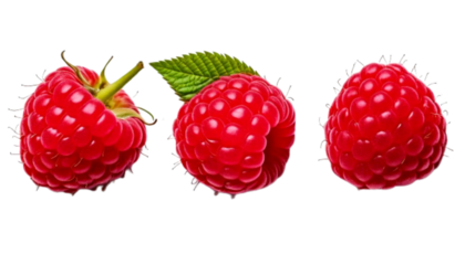  Set of Three Organic Raspberry Fruit Concepts, isolated on transparent background PNG