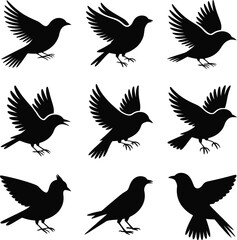 Bird Silhouette Grid – Nine Black Vector Poses Depicting Flight, Perching, and Motion – Minimalist Nature Illustration for Design, Decor, and Education