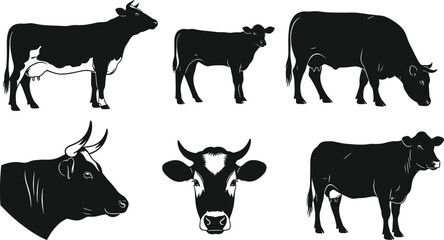Black and white cow silhouette illustrations, farm animal vector design, cattle head closeup, livestock posture drawing, dairy agriculture graphic art