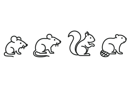 Illustration of mouse, rat, squirrel, and beaver silhouettes in line art style