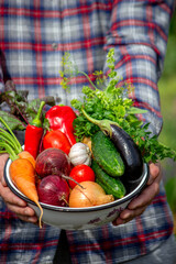 Farmer Holding a Bowl of Fresh Organic Vegetables Harvested from the Garden