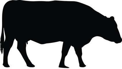 Black cow silhouette isolated on white background, simple livestock vector illustration, farm animal outline, dairy cattle symbol for agriculture and design