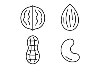 Outline illustrations of peanut, walnut, almond, and cashew