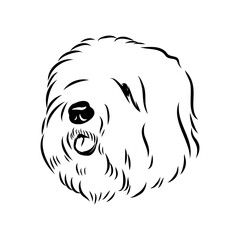 bobtail, dog breed, vector sketch