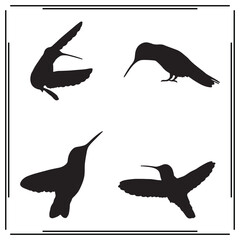 Hummingbird Silhouette Set - Flying Hummingbirds, Bird Icons, Nature Vector Clipart, Hummingbird Illustrations, Bird Symbols for Design, Wildlife Art