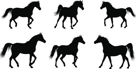 Black horse silhouettes running, galloping, rearing, standing, elegant equestrian poses, wild stallion movement, animal power, vector illustration, isolated design art