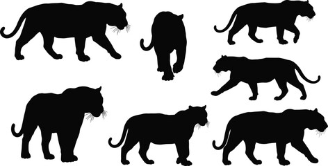 Black panther silhouette collection, wild leopard jaguar outline, big cat walking standing prowling poses, jungle predator animal vector illustration design
