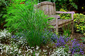 wygodna drewniana ławka wśród roślin, wygodna ławka drewniana w ogrodzie, Drewniana ławka w ogrodzie z bujną zielenią, Wooden bench in a garden with lush greenery	