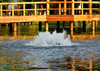 drewniany most nad stawem odbijający się w wodzie, ludzie spacerujący po drewnianym moście nad stawem w parku, wooden bridge over the pond, People walk across the wooden bridge over the pond  © kateej