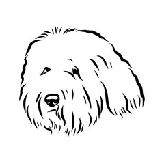 bobtail, dog breed, vector sketch