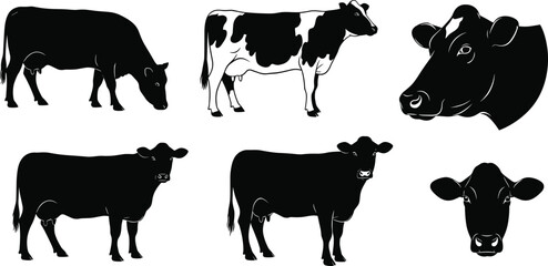 Cow Silhouette Vector Set, Black and White Farm Animal Illustrations, Includes Cow Faces, Dairy Cattle, 