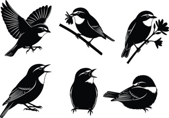 Bird silhouette vector set, flying bird illustration, perched bird design, black and white wildlife art, nature clipart, decorative avian elements