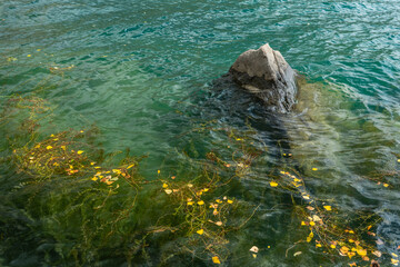 Crystal Clear Turquoise Waters of Upper Kachura Lake with Submerged Autumn Leaves and Rock Formation, Skardu Valley, Gilgit-Baltistan, Pakistan