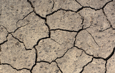 Cracked Earth A Close-Up View of Dry Soil and Deep Fissures