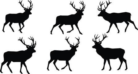 Silhouette deer with antlers, wild animal illustration, stag vector design, hunting wildlife graphic, forest nature symbol, reindeer outline art