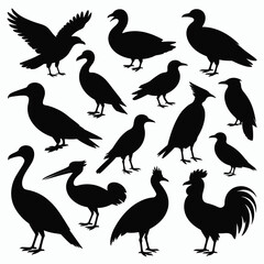 Naklejka premium Diverse collection of 15 bird silhouettes vector art scalable illustration for graphic design projects silhouette vector illustration white background