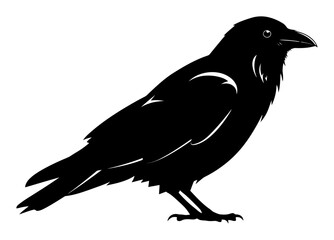 Fototapeta premium Minimalist Crow Vector - Black and White Bird Illustration