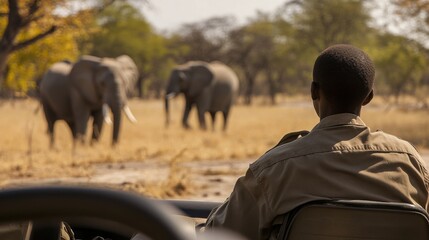 African Safari Guide Observes Elephants from Vehicle in the Bushland