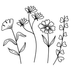 Set of Hand Drawn Doodle Wild Plant and Leaves Line Art. Simple Botanical Sketch Collection.