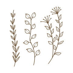 Hand Drawn Doodle Plants and Leaves Line Art.Simple Botanical Sketch Collection Vector Illustration