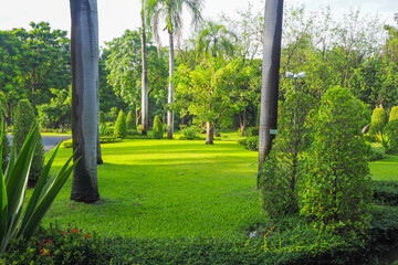 Thailand 13  October 2025 - A photo taken at Chatuchak Park where rain just fell on the trees.