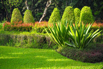 Thailand 13  October 2025 - A photo taken at Chatuchak Park where rain just fell on the trees.
