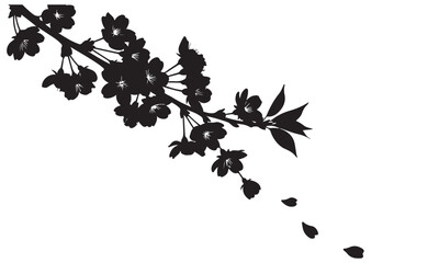 Elegant Black Silhouette of a Cherry Blossom Branch with Falling Petals
