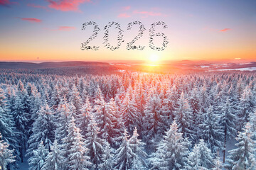 sunset in the snow covered mountain forest with flying birds in shape of 2026