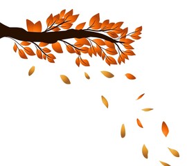 autumn leaves vector