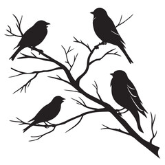 bird on a branch