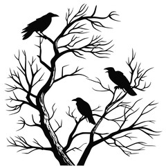 bird on a branch