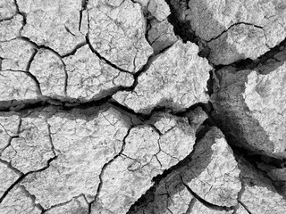 dry cracked ground