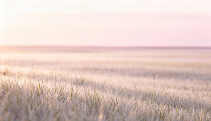 Fototapeta premium Abstract Warm Toned Wheat Field Landscape at Dawn or Dusk in Gentle Light