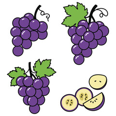 Gourmet fruit bunches of fresh purple grapes and sliced grape segments on a white background