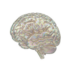 Shimmering iridescent human brain model representing unique ideas