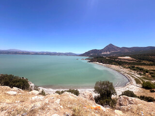 Obraz premium A forest and a cloudy sky, a gloomy weather