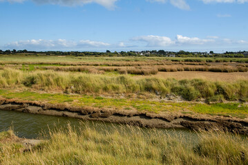 Marais de Pen Mané, site Natura 2000, Locmiquélic, 56, Morbihan, région Bretagne, France © JAG IMAGES
