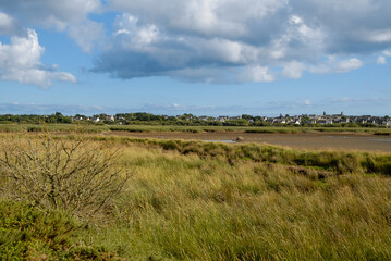 Marais de Pen Mané, site Natura 2000, Locmiquélic, 56, Morbihan, région Bretagne, France © JAG IMAGES