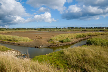 Marais de Pen Mané, site Natura 2000, Locmiquélic, 56, Morbihan, région Bretagne, France © JAG IMAGES