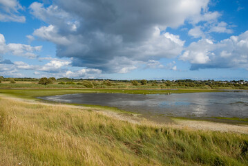 Marais de Pen Mané, site Natura 2000, Locmiquélic, 56, Morbihan, région Bretagne, France © JAG IMAGES