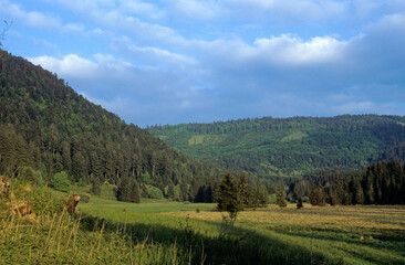 Tourbiere, Belbriète, Natura 2000, Parc naturel des Ballons des Vosges,88, Vosges, France © JAG IMAGES