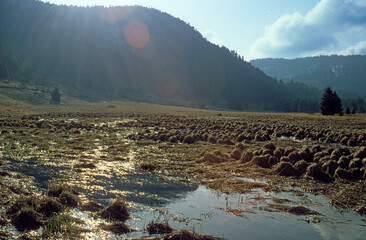 Tourbiere, Belbriète, Natura 2000, Parc naturel des Ballons des Vosges,88, Vosges, France © JAG IMAGES