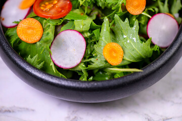Healthy fresh green salad plate