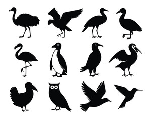 Fototapeta premium Diverse bird silhouettes set scalable vector illustrations for graphic design and educational purposes eps format silhouette vector illustration white background