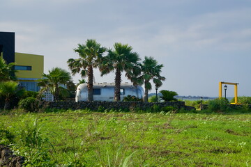 Palm Grove and Silver Trailer