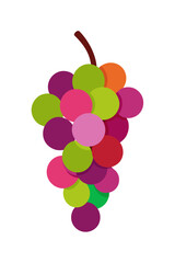 Minimalist Colorful Grape Bunch Vector Illustration for Branding and Design Projects