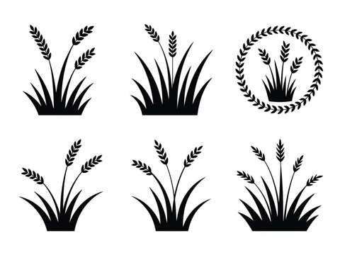 Collection of six stylized wheat stalks vector illustrations scalable for various design applications silhouette vector illustration white background
