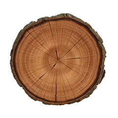 Fototapeta premium Isolated circular tree trunk slice showcasing natural wood grain patterns and growth rings in high