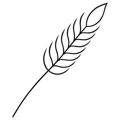 feather isolated on white background